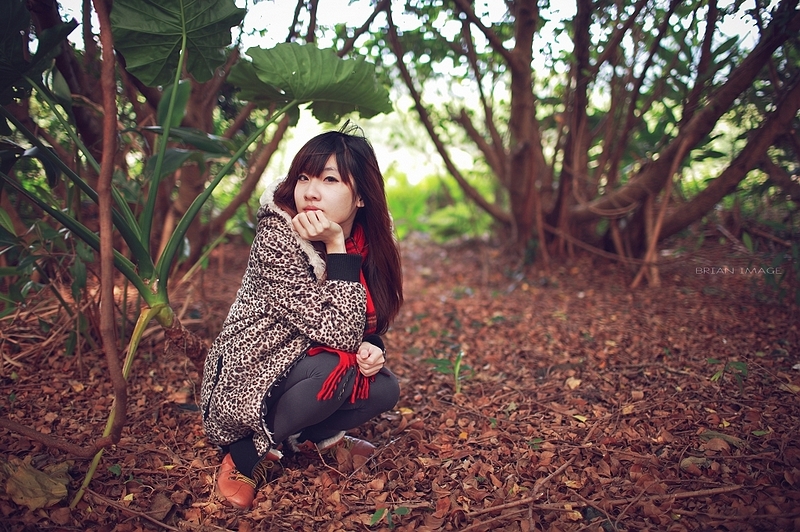 http://i.dcview.tw/gallery/201101/500c37de780d126f4f1785863b71ec05.jpg