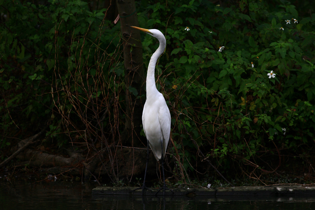 http://i.dcview.tw/gallery/201101/51a7f5788841e703643b767cba616d5a.jpg