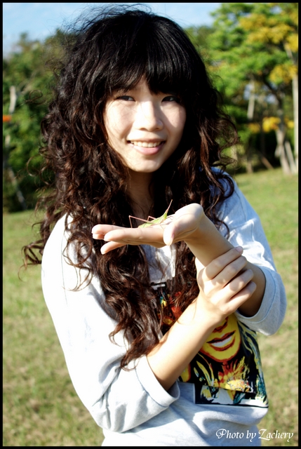 http://i.dcview.tw/gallery/201101/55f78962d71ed83b81bfb2701d76b603.jpg