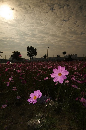 http://i.dcview.tw/gallery/201101/698a99e01d7c3bdba130e384f0ad37ab.jpg