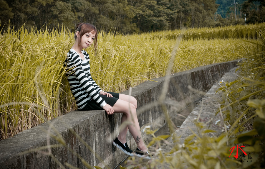 http://i.dcview.tw/gallery/201101/6bf036971a664458acb3d017c7234662.jpg