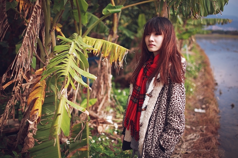 http://i.dcview.tw/gallery/201101/82f6b3eb4fe00a75e5cb12435526cb6a.jpg