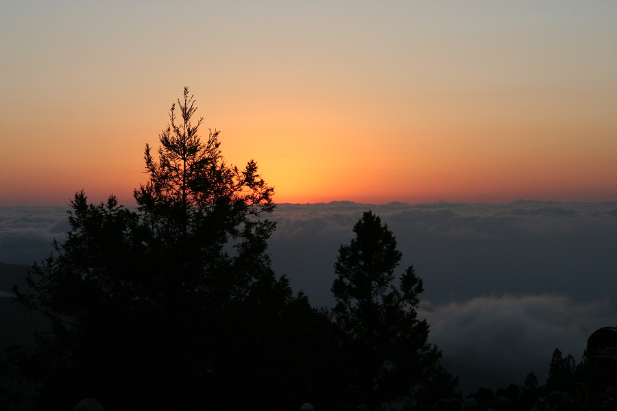 http://i.dcview.tw/gallery/201101/84f6183775351463cf54b83f8298b099.jpg