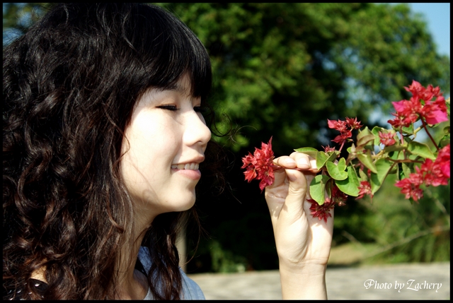 http://i.dcview.tw/gallery/201101/88445ba6707fa3cec53811ceb014bfc1.jpg