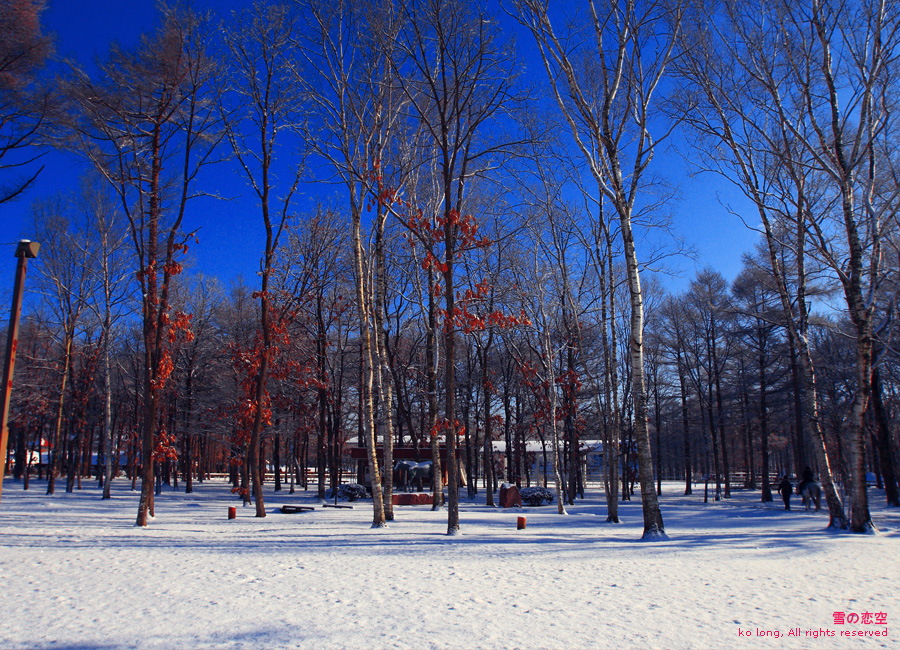 http://i.dcview.tw/gallery/201101/8f619a84c854bc0a29430e18c8acab1c.jpg