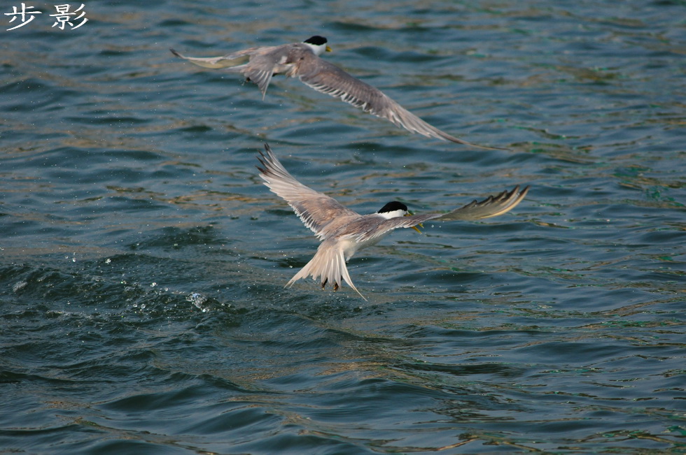 http://i.dcview.tw/gallery/201101/922d3df515e1890c8baa45f70872eaee.jpg