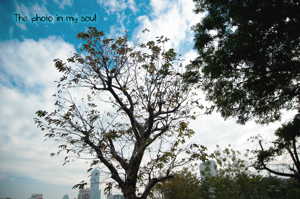 http://i.dcview.tw/gallery/201101/93443f3b265f7fe9ce3eedb28ce799e1.jpg