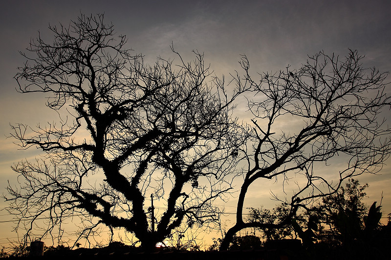 http://i.dcview.tw/gallery/201101/9e2f42b23eeb5c8d7270a6887f7645d7.jpg