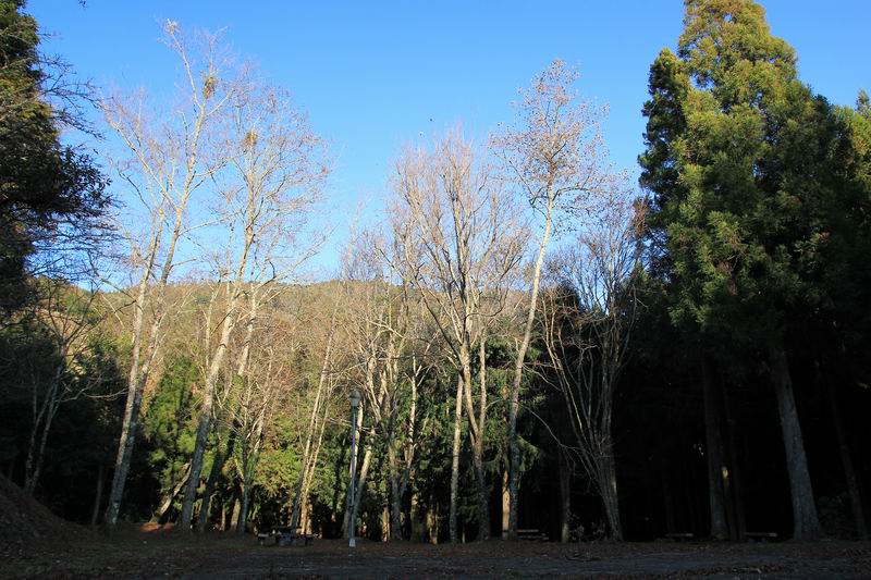 http://i.dcview.tw/gallery/201101/a6d9b86bf30ef9b6f899966e6fdc4351.jpg