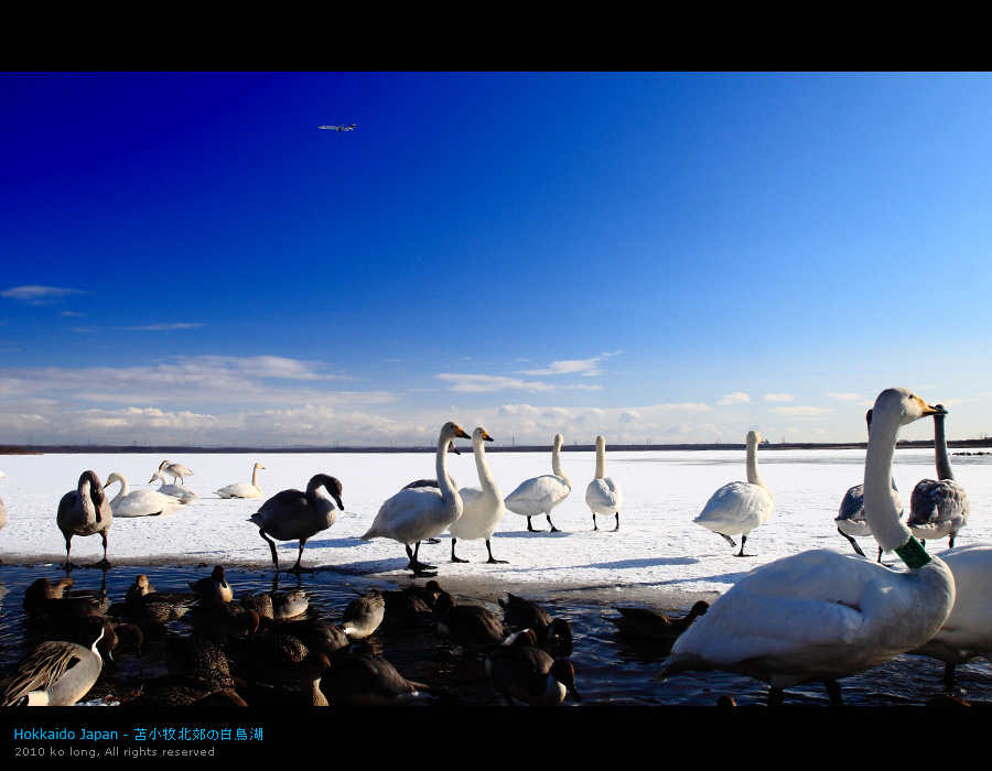 http://i.dcview.tw/gallery/201101/aa7256004f596792d652284b306032df.jpg