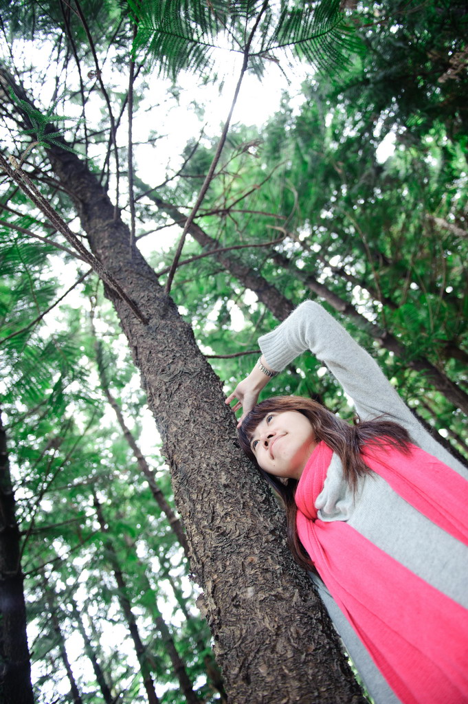 http://i.dcview.tw/gallery/201101/ad582b1cde330e04050a061c787b2cb2.jpg