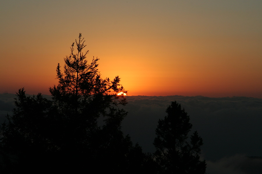 http://i.dcview.tw/gallery/201101/b55528d1f2a11e440883e4e78279e351.jpg