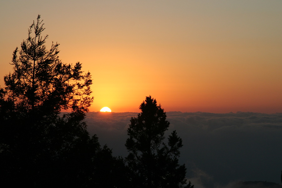 http://i.dcview.tw/gallery/201101/bfb36b50f58866277a098da0718667f7.jpg