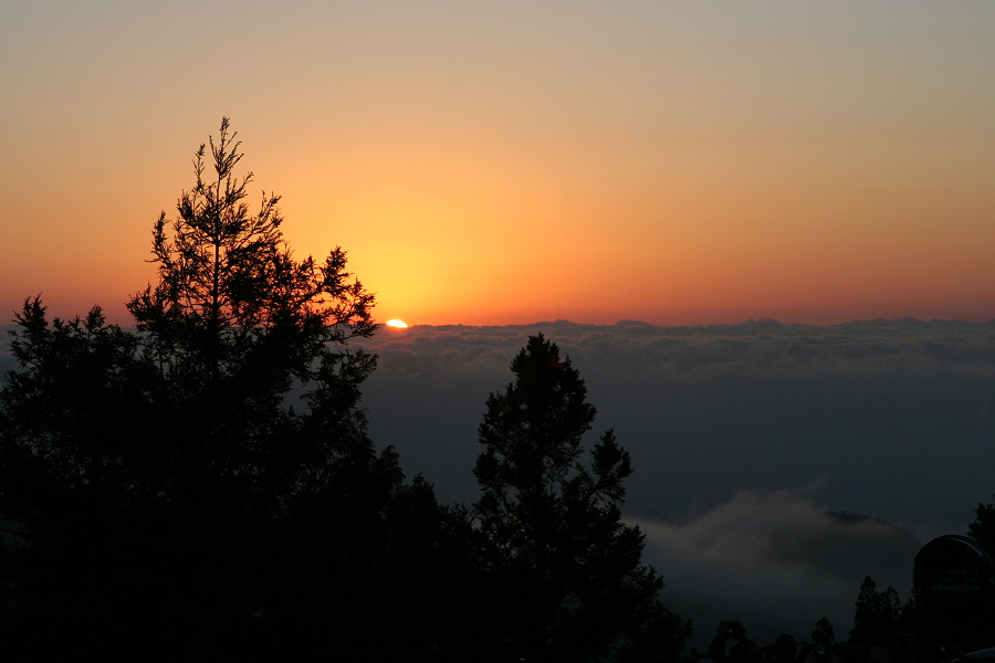 http://i.dcview.tw/gallery/201101/ca258f9f9c0443a60da6b28ee5c4d87b.jpg