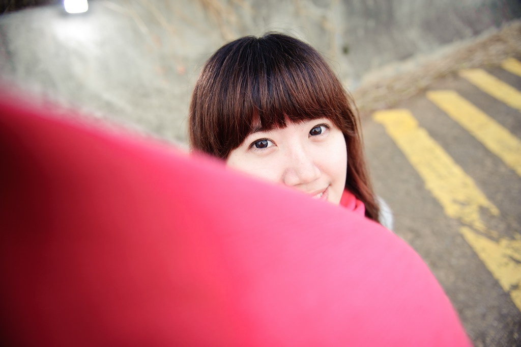 http://i.dcview.tw/gallery/201101/ca96627667d07159583760e8f6408b56.jpg