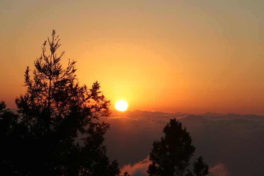 http://i.dcview.tw/gallery/201101/ed813b410d8bb1aeeb716189cb62f1aa.jpg