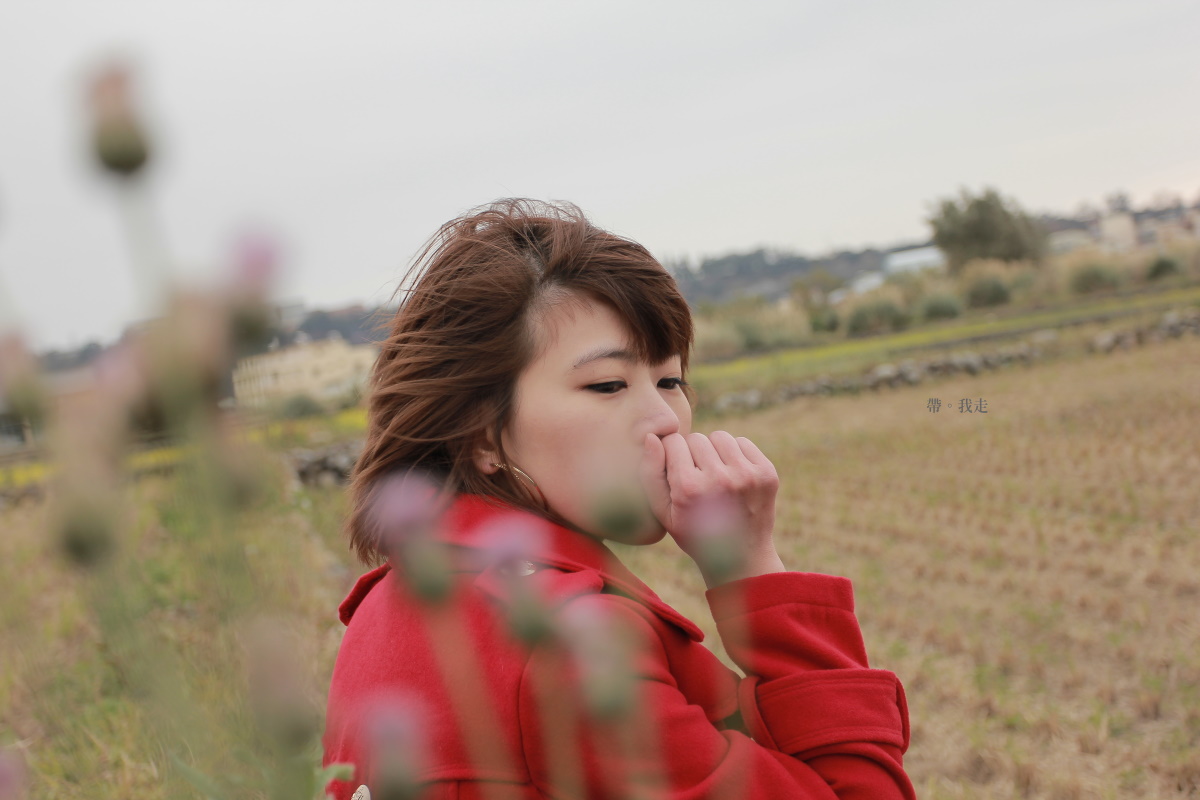 http://i.dcview.tw/gallery/201101/f437ff038e7897b6943e142239f028f4.jpg