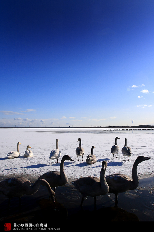 http://i.dcview.tw/gallery/201101/fa43525107324f20e4b869202060c13f.jpg