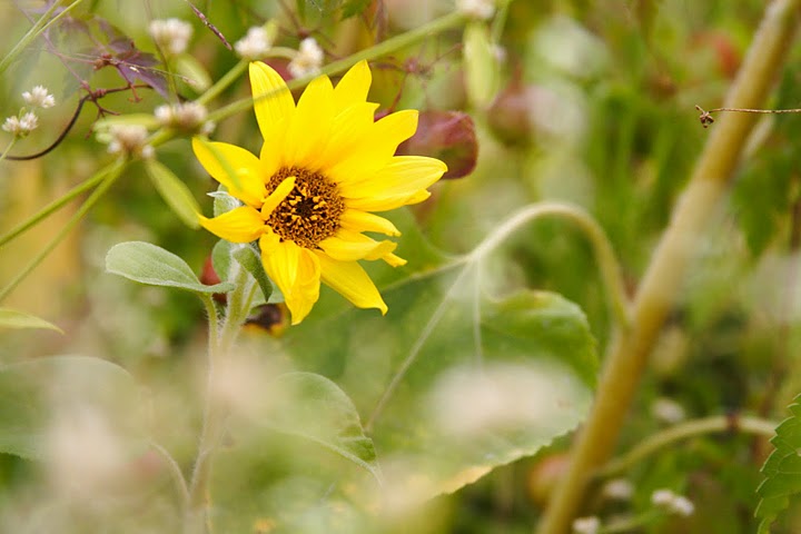 http://i.dcview.tw/gallery/201101/fbe97249eb3f66dcc0a2a833e4b7ebd6.jpg