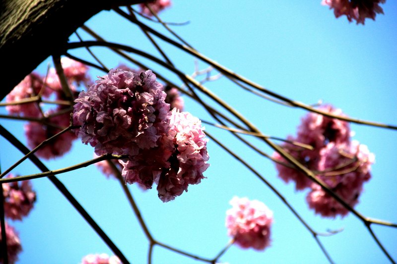http://i.dcview.tw/gallery/201102/0250b60ebf42b7ff81651ce9f1502b37.jpg