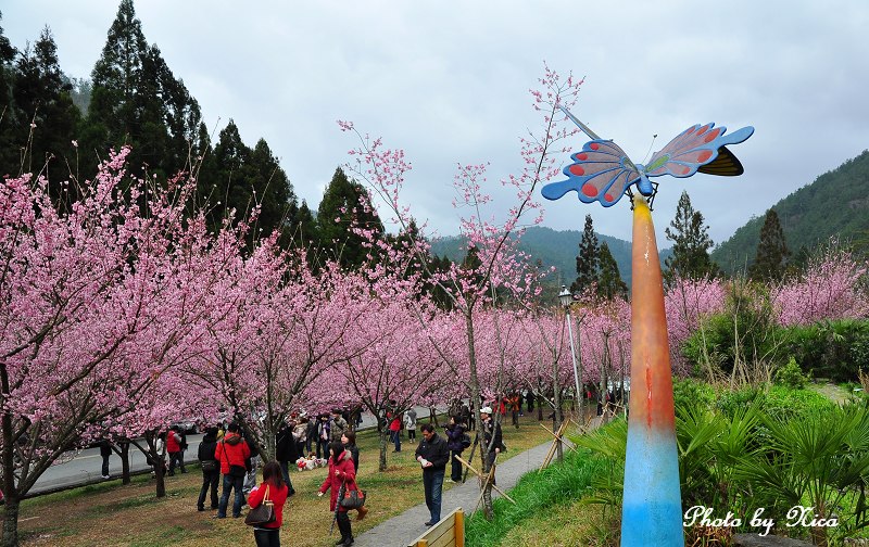 http://i.dcview.tw/gallery/201102/04a9486f17d9d199ed702c8d27e78604.jpg