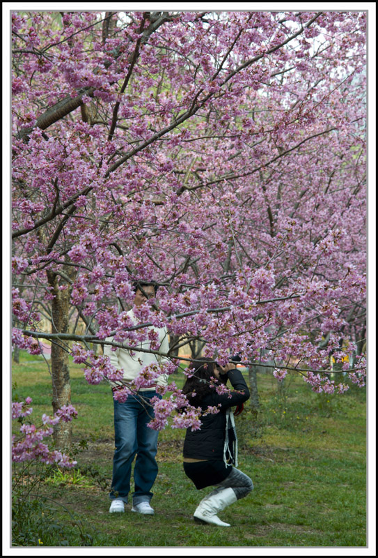 http://i.dcview.tw/gallery/201102/04c5c43c690963df8f8a0356e298a173.jpg