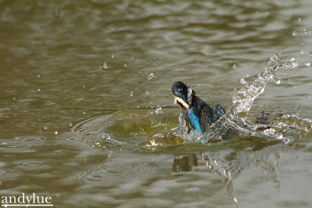 http://i.dcview.tw/gallery/201102/0662d240988fa5ac1ff90d9198e525ed.jpg