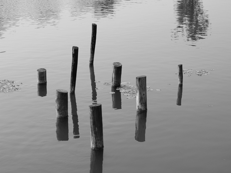 http://i.dcview.tw/gallery/201102/078fa9c591c24f8587748c4ccb05207c.jpg