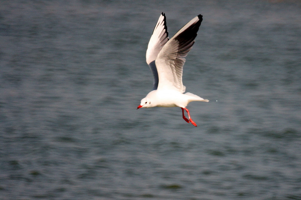 http://i.dcview.tw/gallery/201102/08137d99cdf6e558e73503855b6d8435.jpg