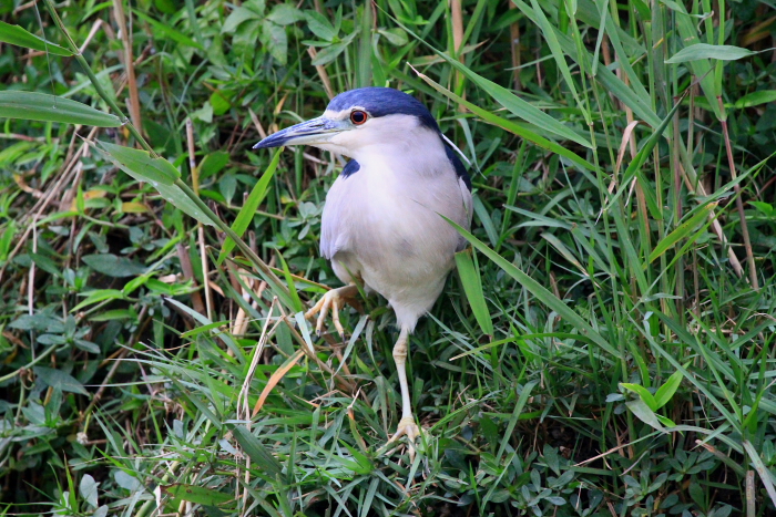 http://i.dcview.tw/gallery/201102/08d88fd5df0aa635ebf1cb289c28c226.jpg