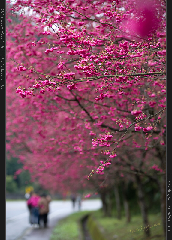http://i.dcview.tw/gallery/201102/0aeddb50865bf39a0f018e1e5bea51fb.jpg