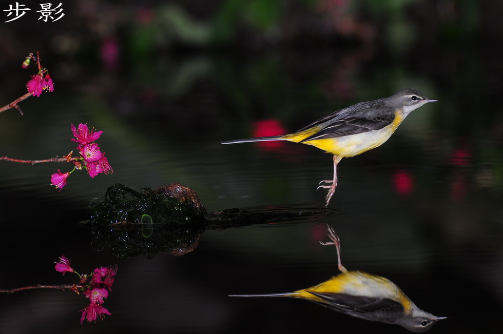 http://i.dcview.tw/gallery/201102/0b5b928f18b7f4e4726130195fadad64.jpg