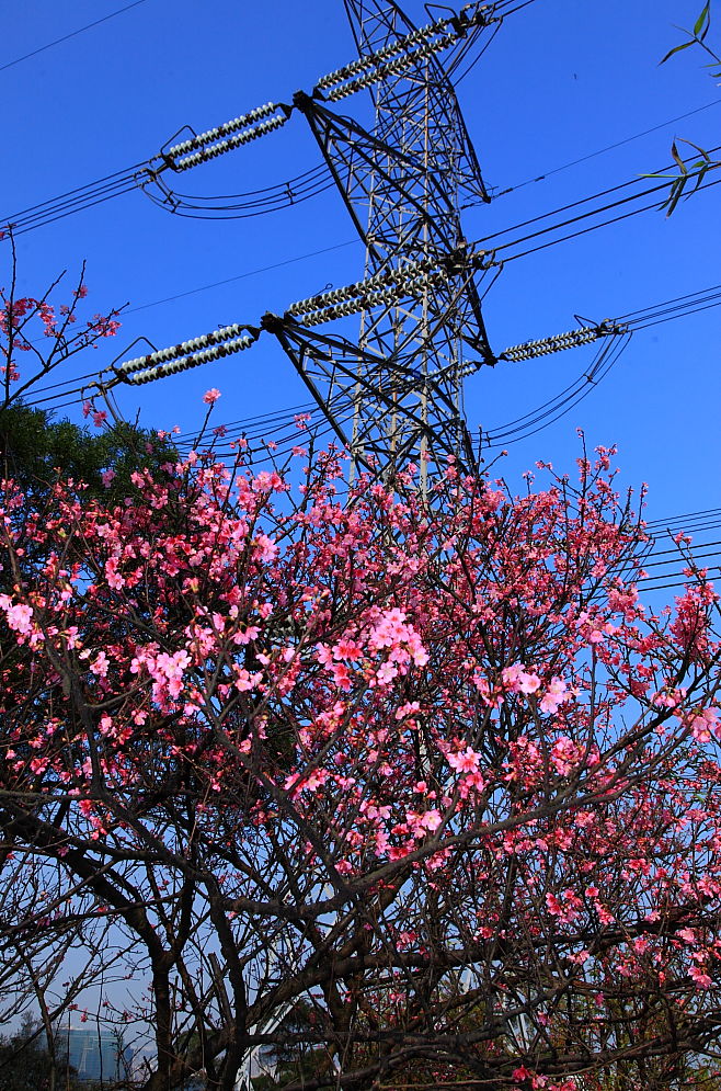 http://i.dcview.tw/gallery/201102/0d4b98ea56fc00d6883657b729ba958b.jpg