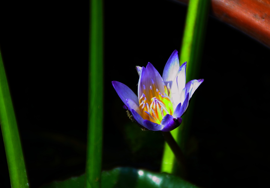 http://i.dcview.tw/gallery/201102/12741e00fd15458b13878a8beea4595c.jpg