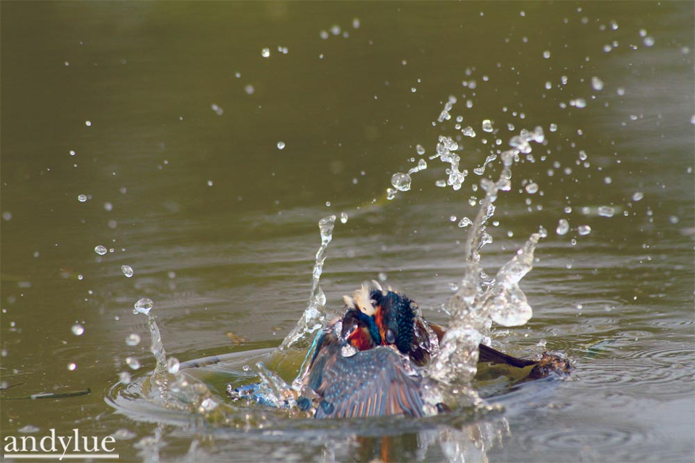 http://i.dcview.tw/gallery/201102/1803424051f7e015e71aa4f2c22d071d.jpg