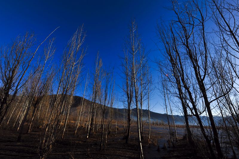 http://i.dcview.tw/gallery/201102/1a1f248c79932fd0b5d999b2ac4dae84.jpg