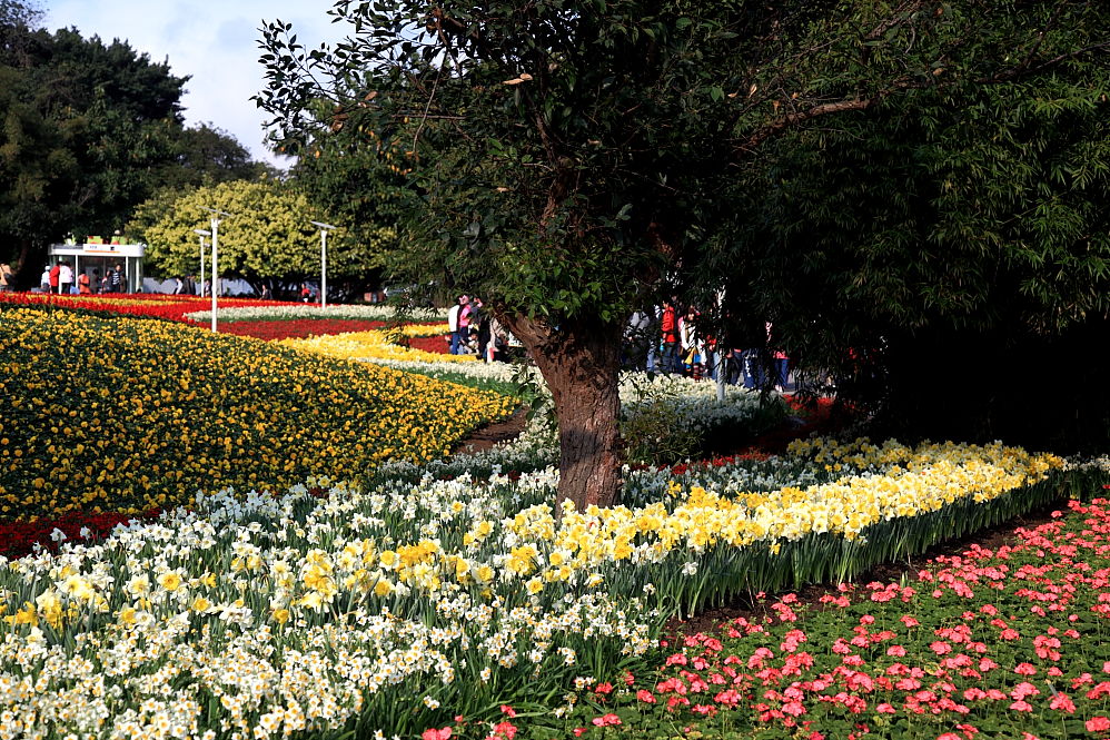 http://i.dcview.tw/gallery/201102/1a83e5ddba98825374caadaaee547c26.jpg