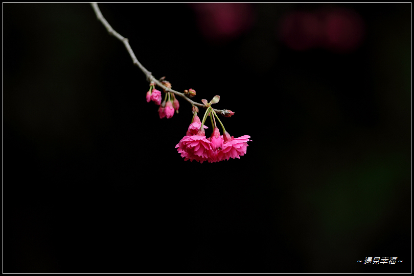 http://i.dcview.tw/gallery/201102/1d2a8b8be07df095355c97506b52d050.jpg