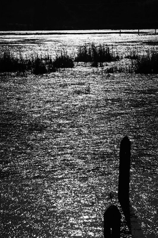 http://i.dcview.tw/gallery/201102/2a398dfc27c37c244a61b33e6fe0936f.jpg