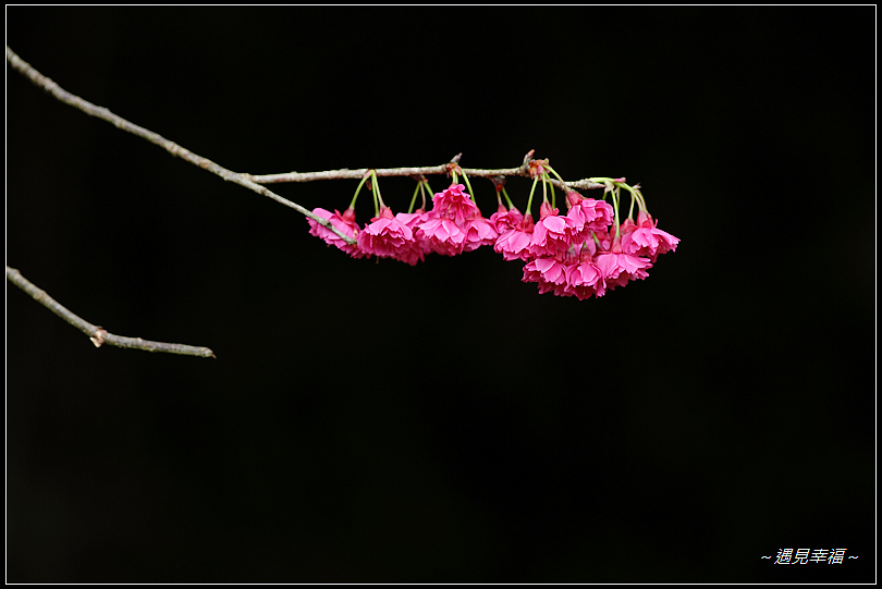 http://i.dcview.tw/gallery/201102/2aa803219a62c00310733fefcbf52f12.jpg