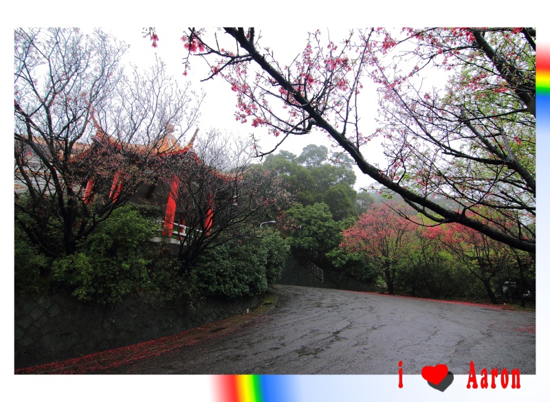 http://i.dcview.tw/gallery/201102/2c26c9fe11411eb76e05fb8967bf0a3c.jpg