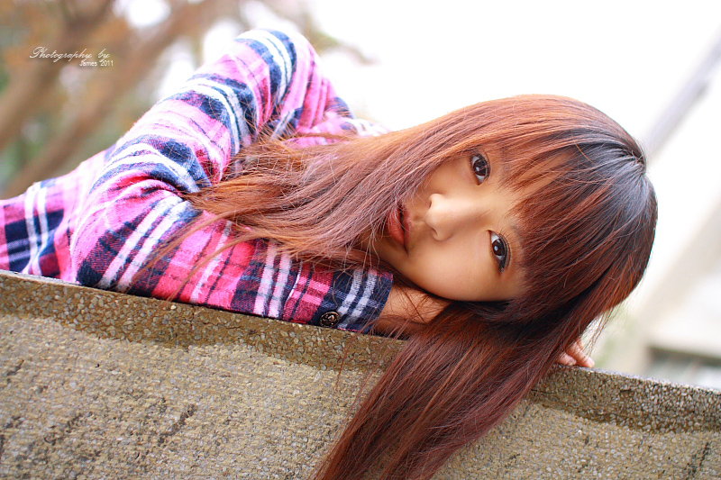 http://i.dcview.tw/gallery/201102/2ea65fa67299cf00a1d69b109f2a903e.jpg