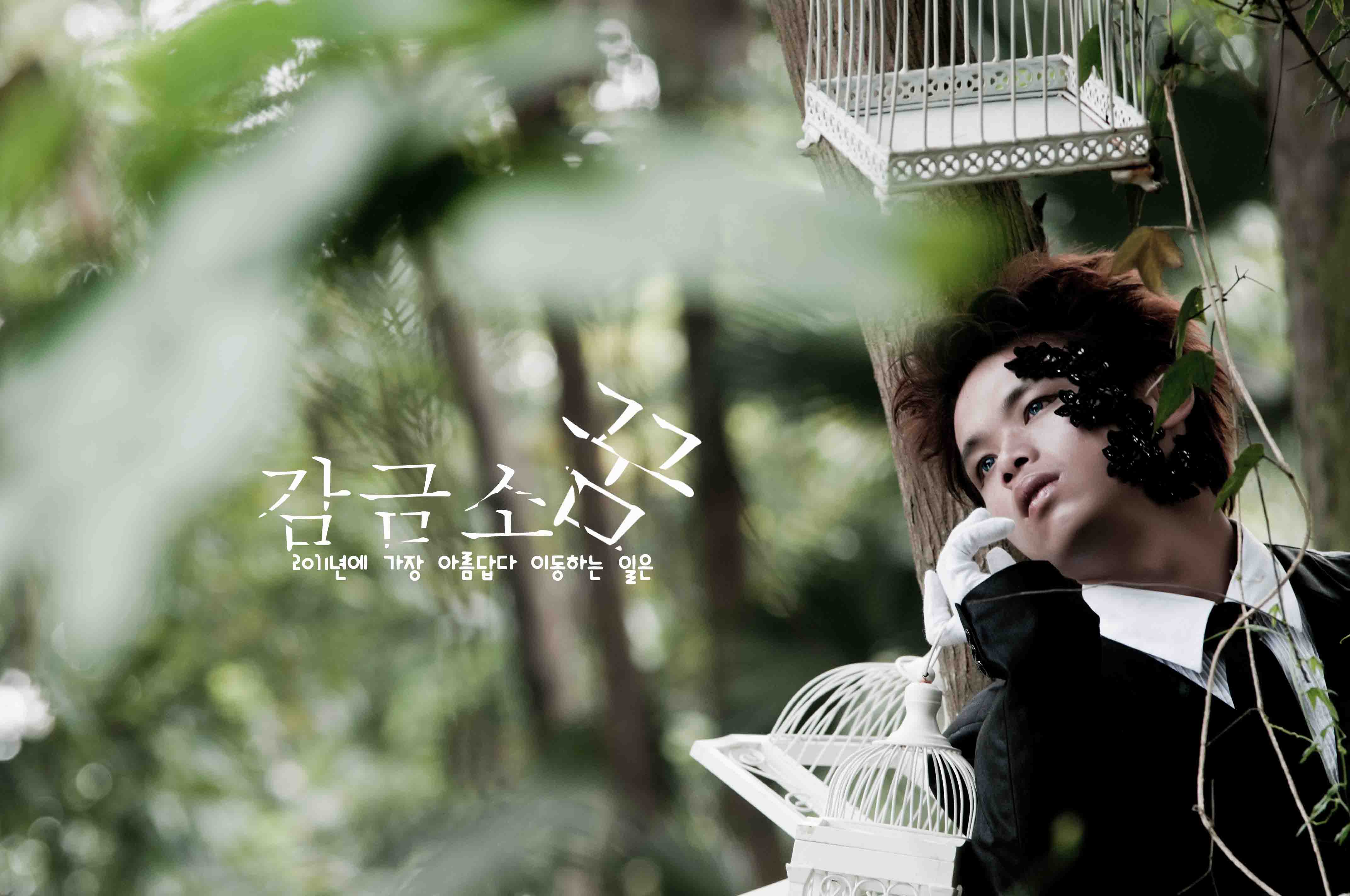 http://i.dcview.tw/gallery/201102/2f2a7bd2afda61a609cd65b6eec2dc80.jpg