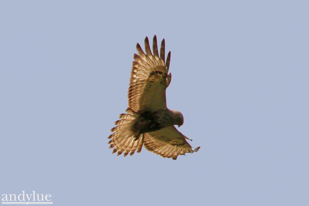 http://i.dcview.tw/gallery/201102/3337876ecd3e15308b7d58d8e0cc97b0.jpg