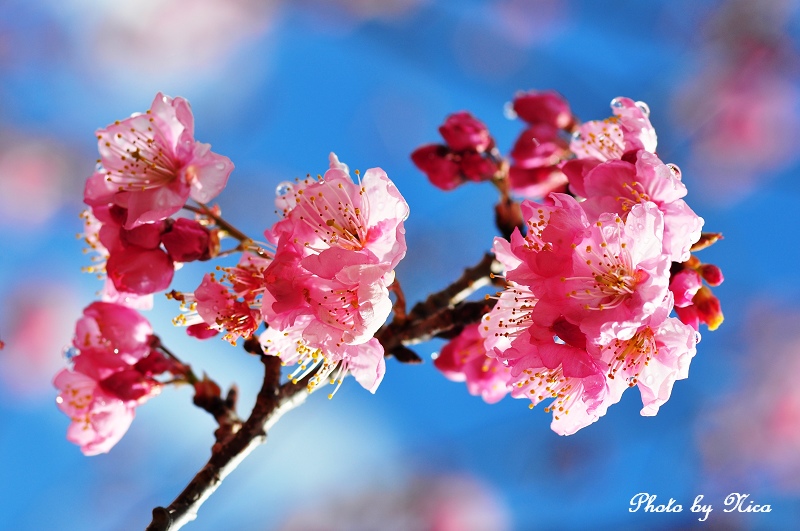 http://i.dcview.tw/gallery/201102/36da57b1f8502e1beaba5168a5b87525.jpg