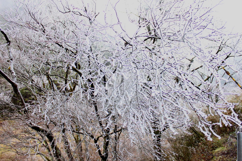 http://i.dcview.tw/gallery/201102/3ad730984a51815deedf82865beb0705.jpg