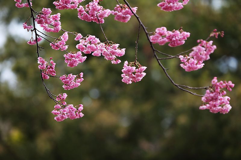 http://i.dcview.tw/gallery/201102/3cad9998fcbe3288d6fb4dba5dfc4f33.jpg