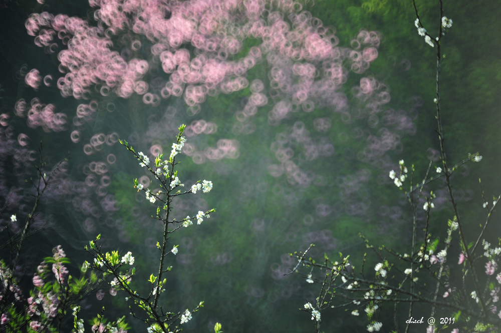 http://i.dcview.tw/gallery/201102/3e9cf509e1e95d5a13e8152c9c90a496.jpg