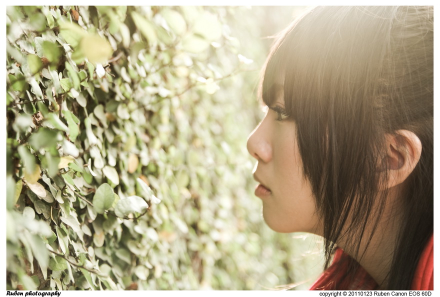 http://i.dcview.tw/gallery/201102/3fb60454c9ec4ff4fba6c8de20da11f8.jpg