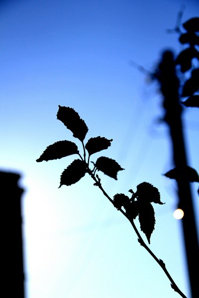 http://i.dcview.tw/gallery/201102/48359357a283c9af5b8b3cb827ae1416.jpg